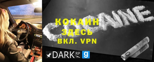 гашик Мегион