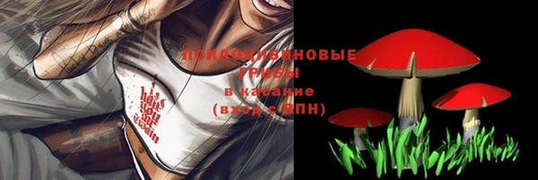 метадон Медвежьегорск