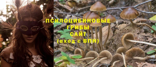 кокаин премиум Медногорск