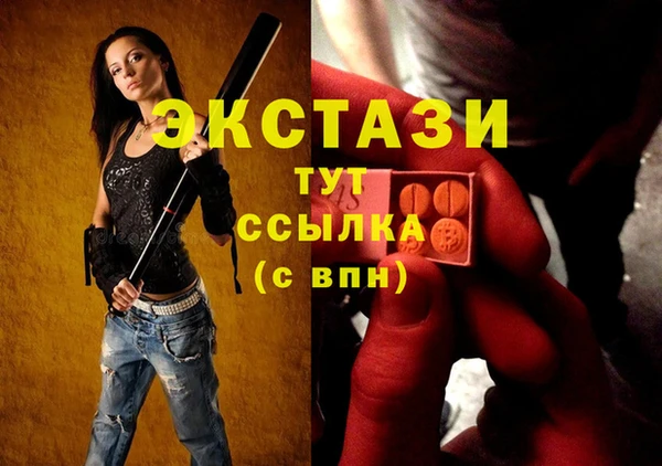 гашик Мегион