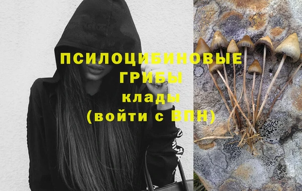 гашик Мегион