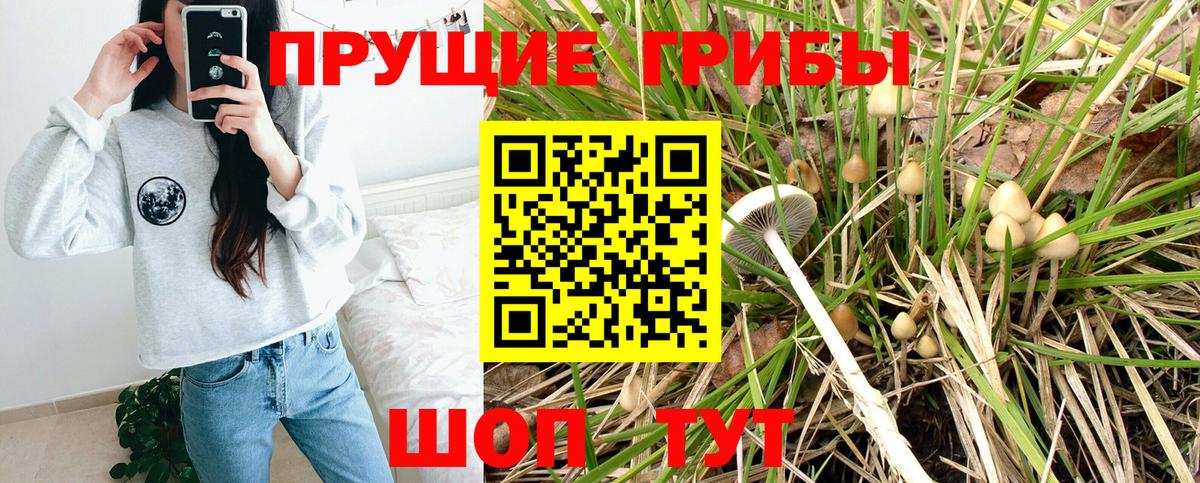 Галлюциногенные грибы прущие грибы  Вход с VPN  Омск 