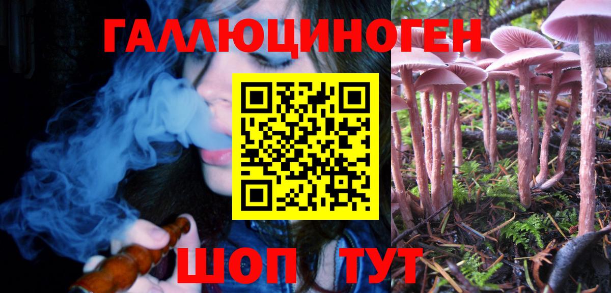 Галлюциногенные грибы Psilocybe  Омск  купить  цена  Псилоцибиновые грибы Psilocybine cubensis 