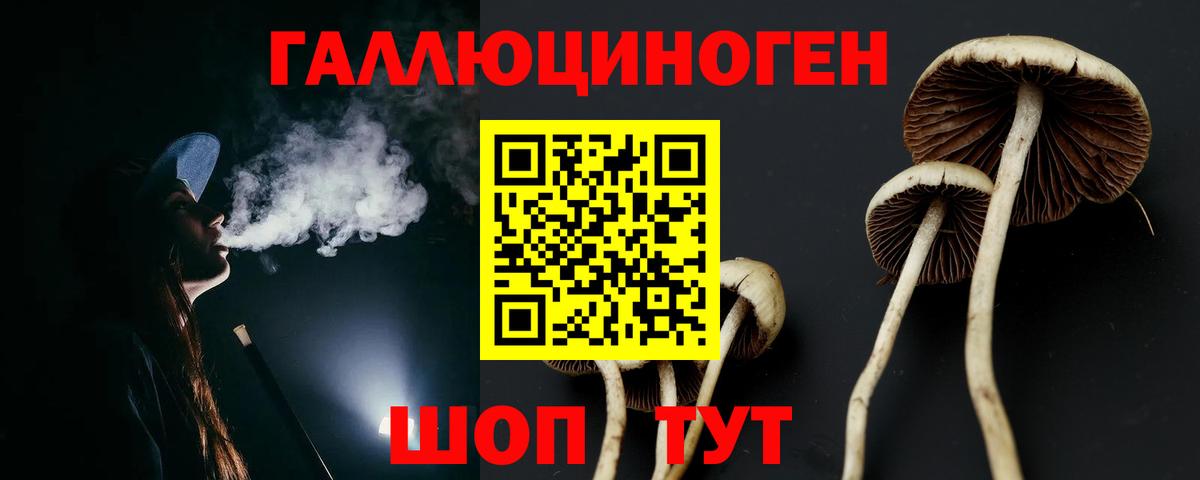 Альфа ПВП Омск
